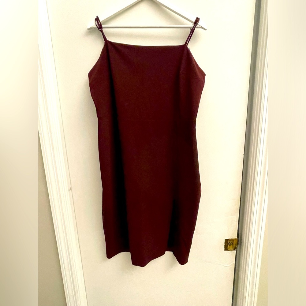Express Burgundy Dress